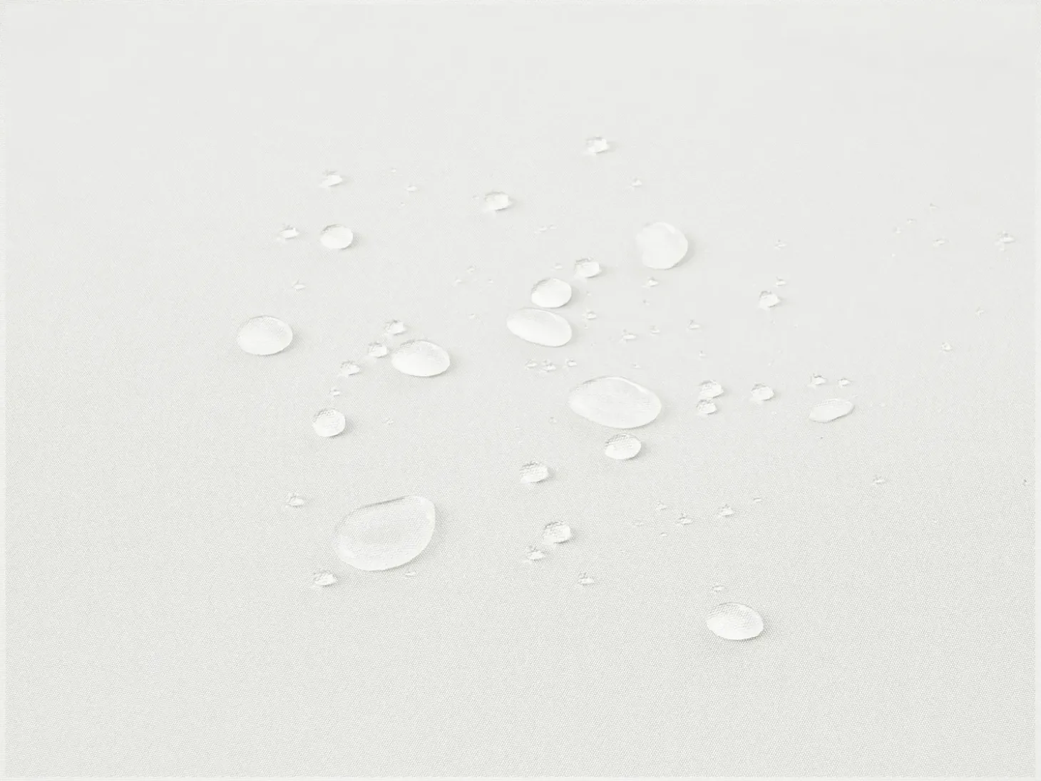 Sæt af 6 ryg-/siddehynder JAVA/AMANTEA PREMIUM 50 x 71 cm Cremehvid