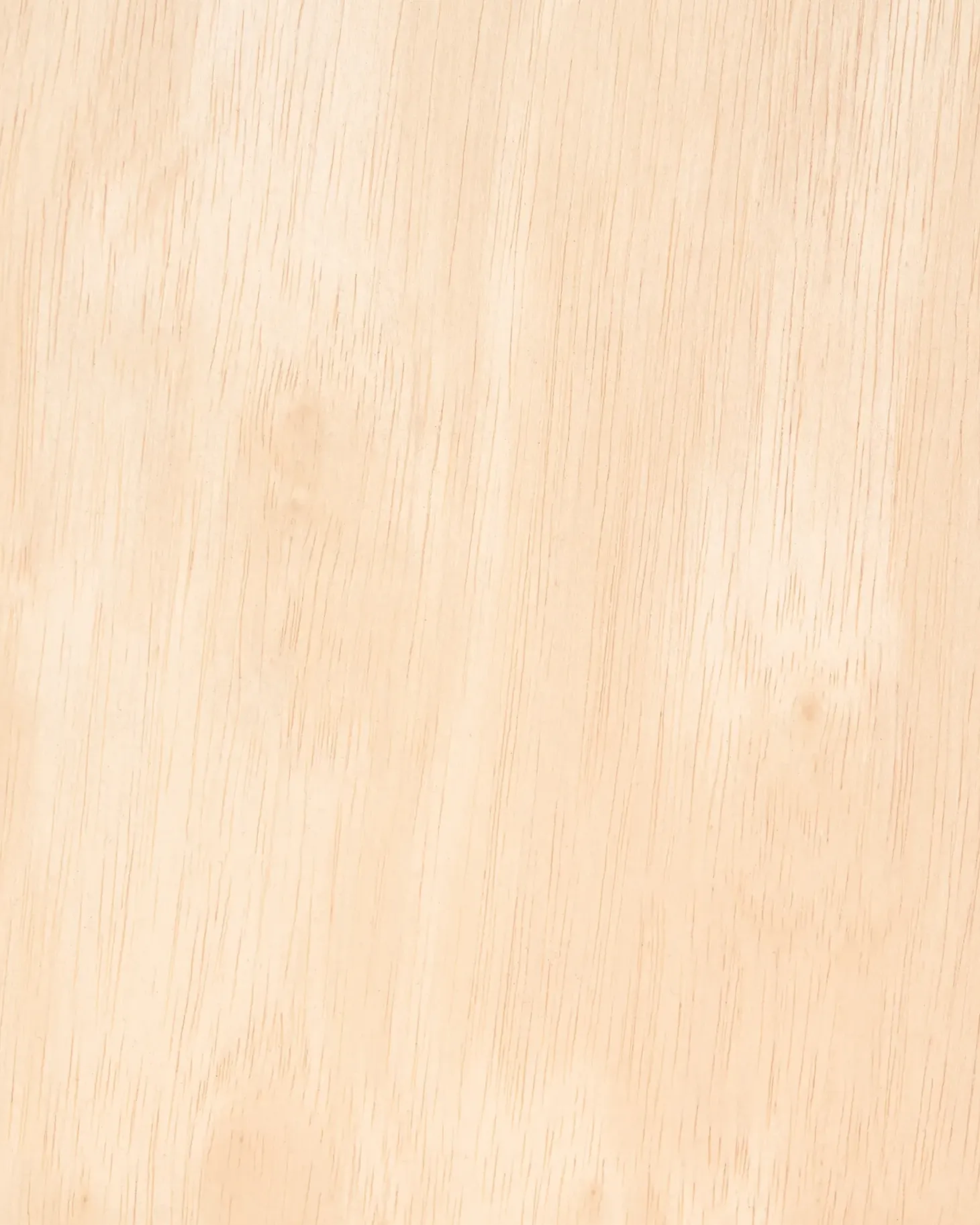 Sæt med 2 barstole CHARLESTON Træ Lysebrun/lys beige