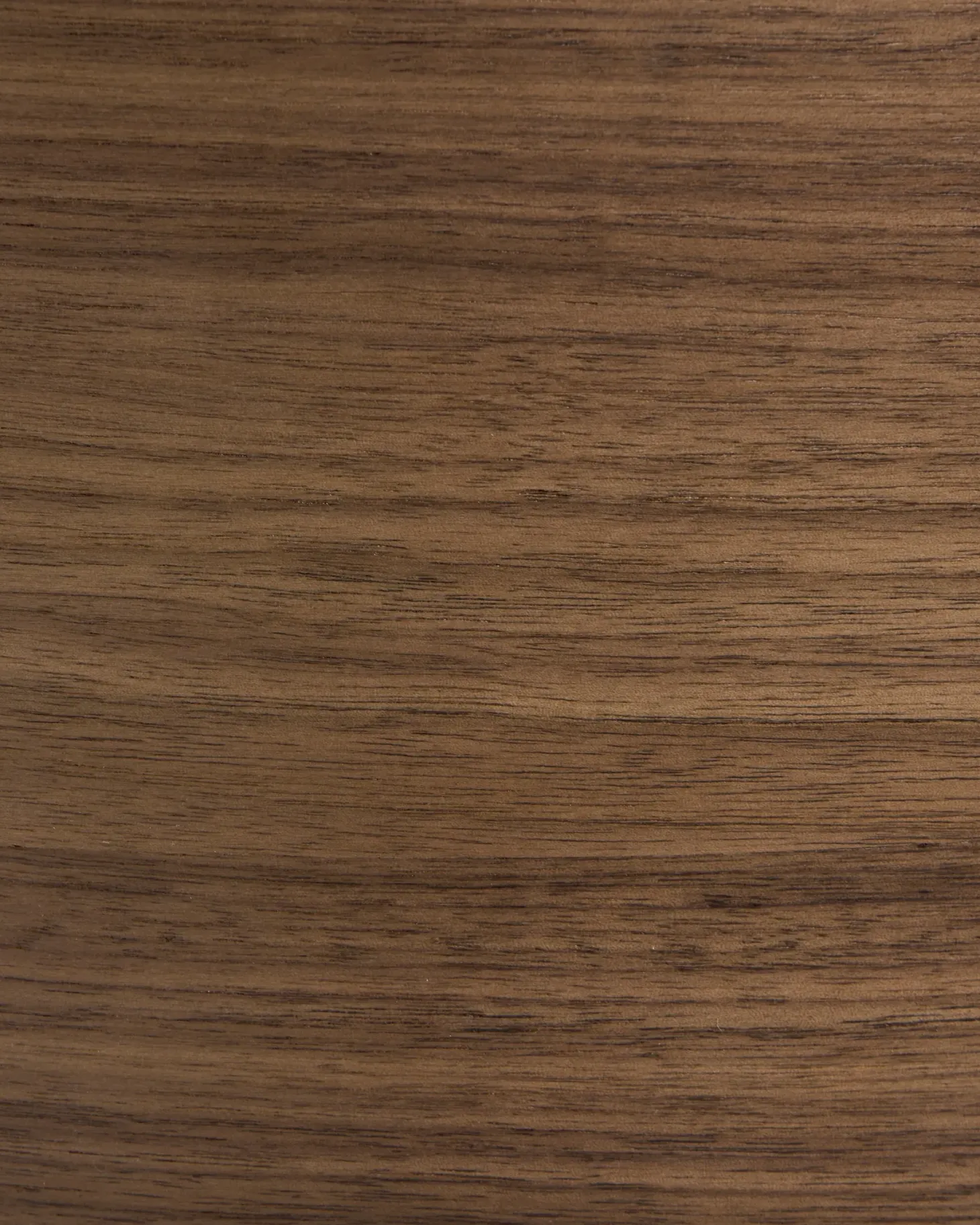 Sæt med 2 barstole HOLLY Træ Brun/beige