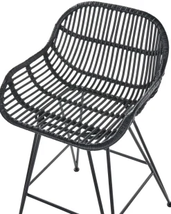 Sæt med 2 barstole TERRELL Rattan Sort