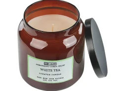 Sæt med 2 duftlys ABSOLUTE ALCHEMY Soja voks Fresh notes