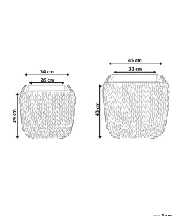 Sæt med 2 plantekrukker BERBERIS 34/45 cm Sort PE-rattan