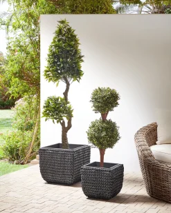 Sæt med 2 plantekrukker BERBERIS 34/45 cm Sort PE-rattan