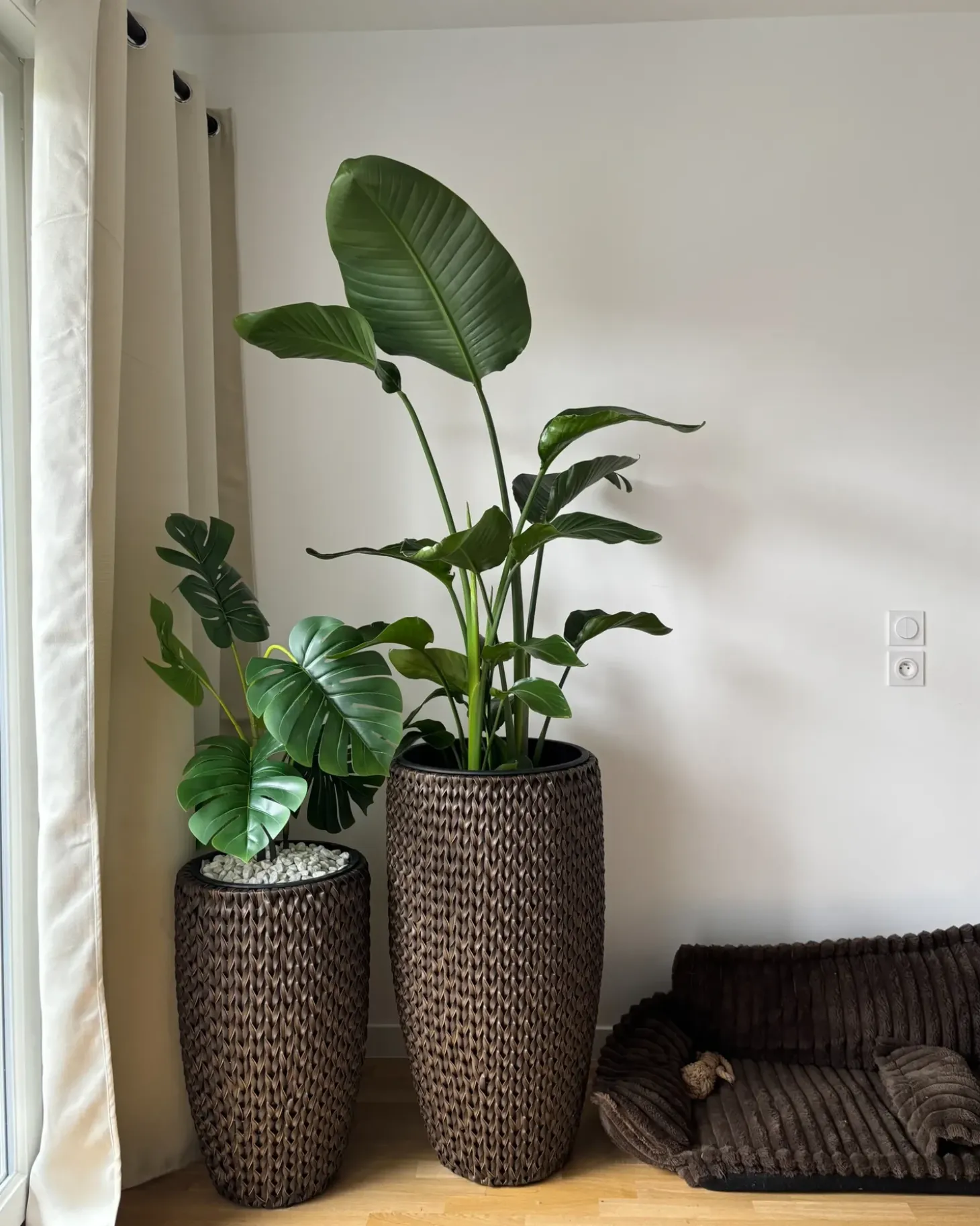 Sæt med 2 plantekrukker CEDRUS 37/45 cm Brun PE-rattan