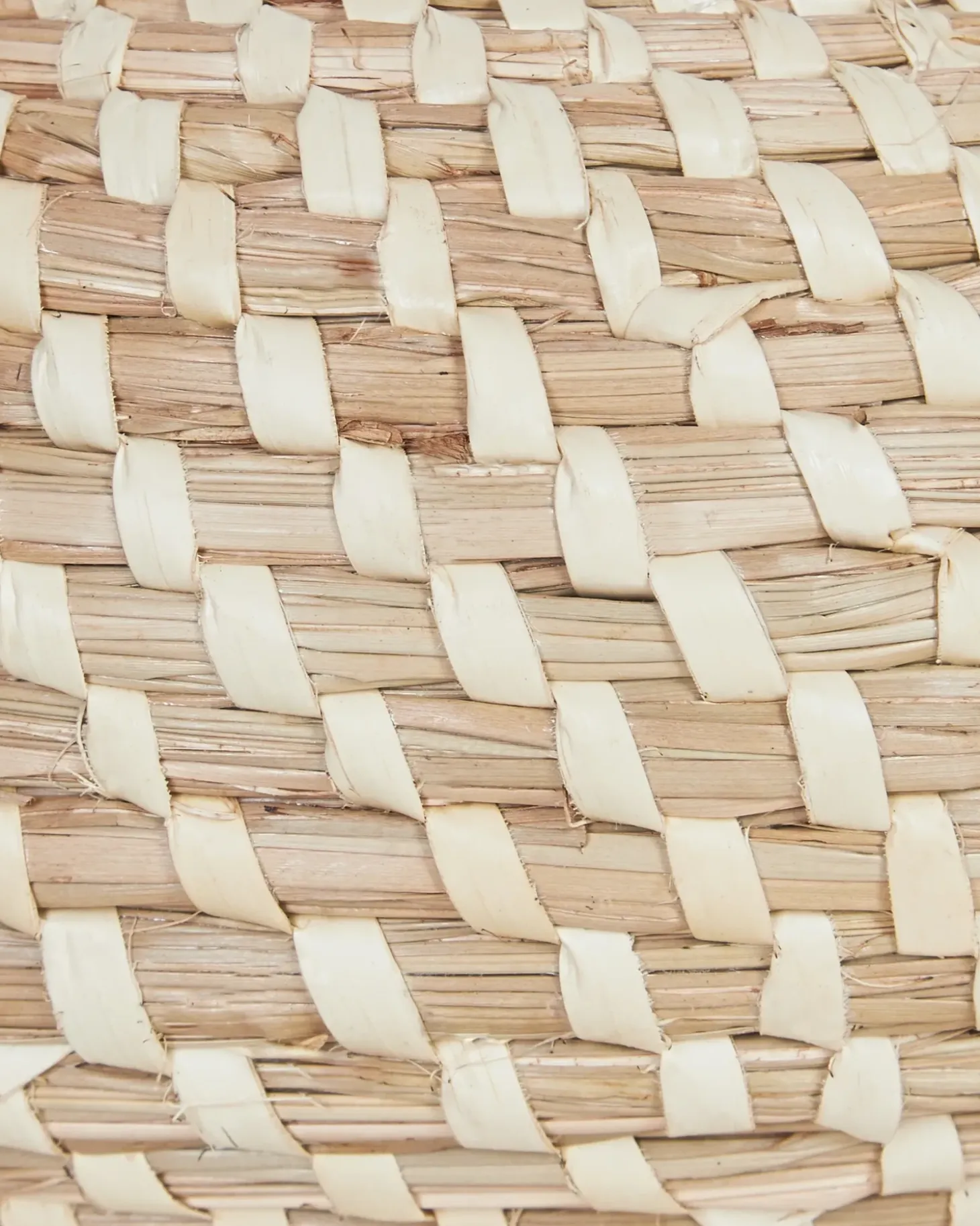 Sæt med 2 plantekrukker REMORA Søgræs 22/14 cm Naturlig