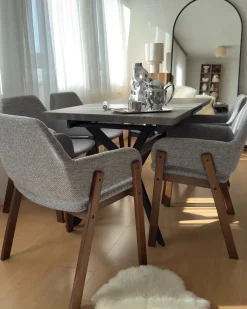 Sæt med 2 spisebordsstole ALBION Grå