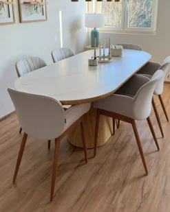 Sæt med 2 spisebordsstole ALICE Lysegrå