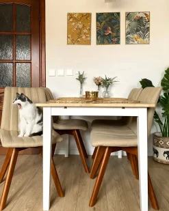 Sæt med 2 spisebordsstole CALGARY Sand Beige