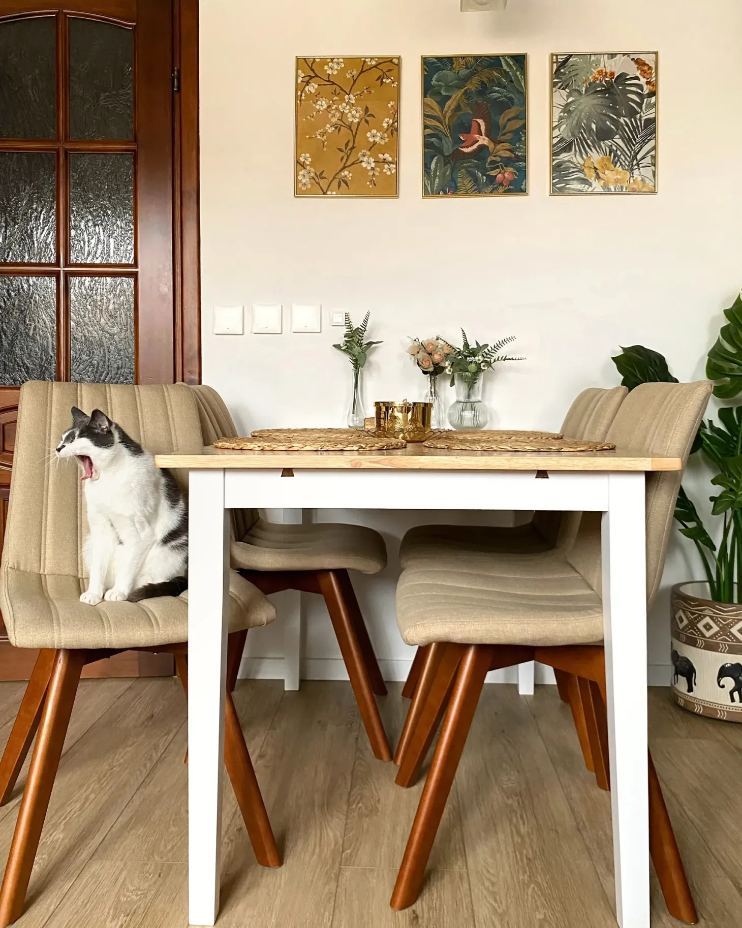 Sæt med 2 spisebordsstole CALGARY Sand Beige