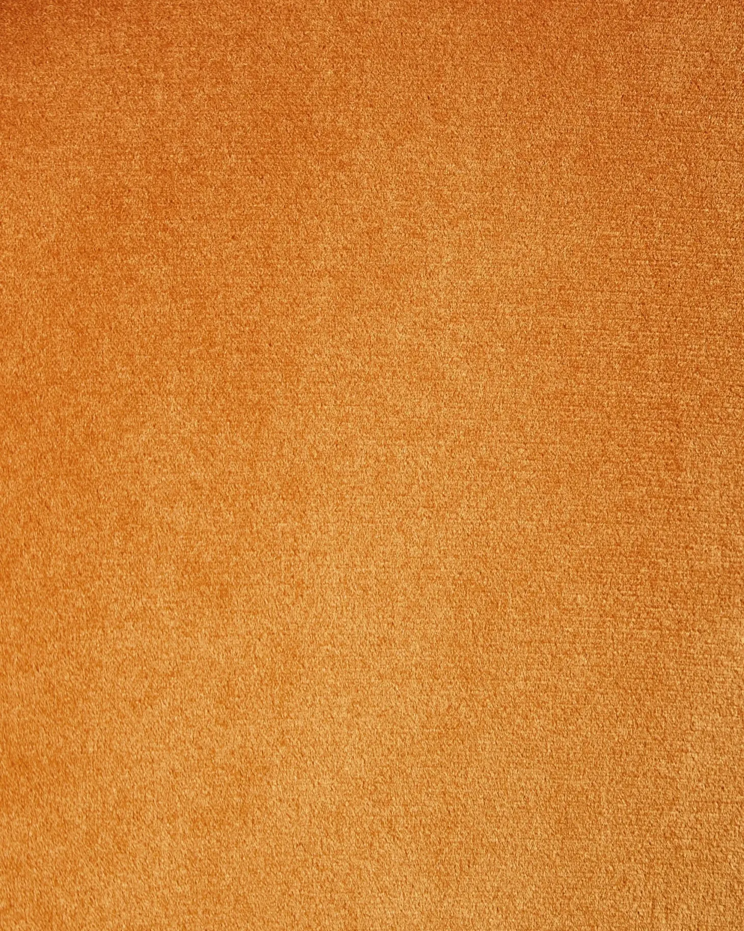 Sæt med 2 spisebordsstole COVELO Velour Orange