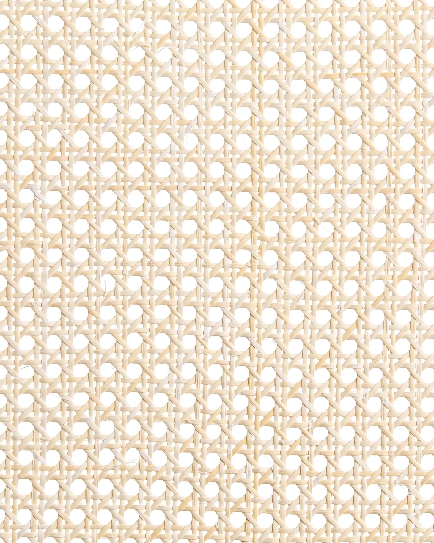 Sæt med 2 spisebordsstole EDINA Brun/beige