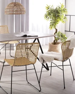Sæt med 2 spisebordsstole ELFROS Rattan Naturlig
