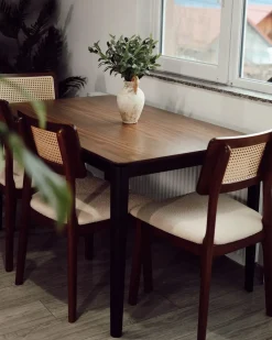Sæt med 2 spisebordsstole EMBAR Træ Brun