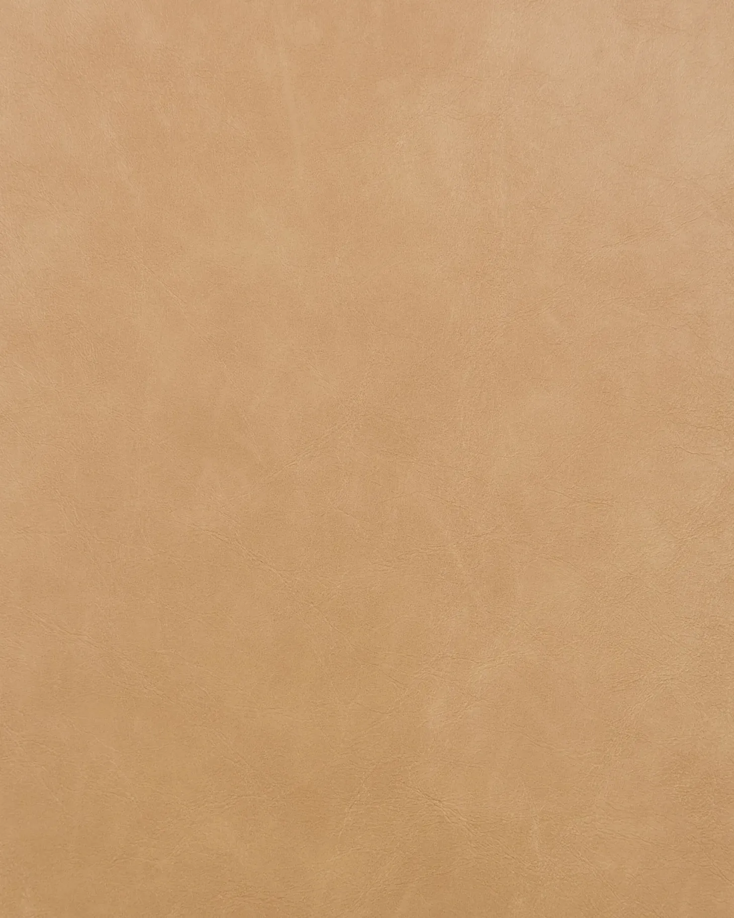 Sæt med 2 spisebordsstole LUANA Kunstlæder Sand Beige