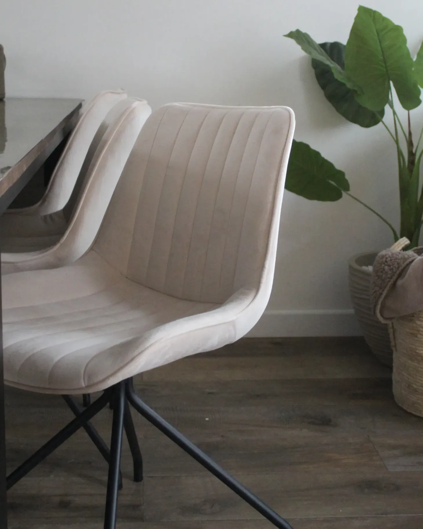 Sæt med 2 spisebordsstole NAVASOTA Velour Beige