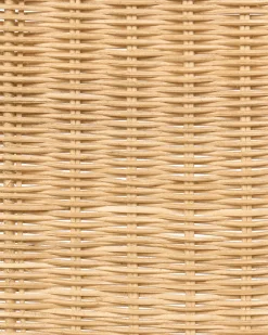 Sæt med 2 spisebordsstole ROXTON Rattan Naturlig