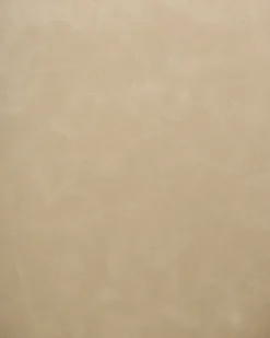 Sæt med 2 spisebordsstole SANSARC Kunstlæder Beige