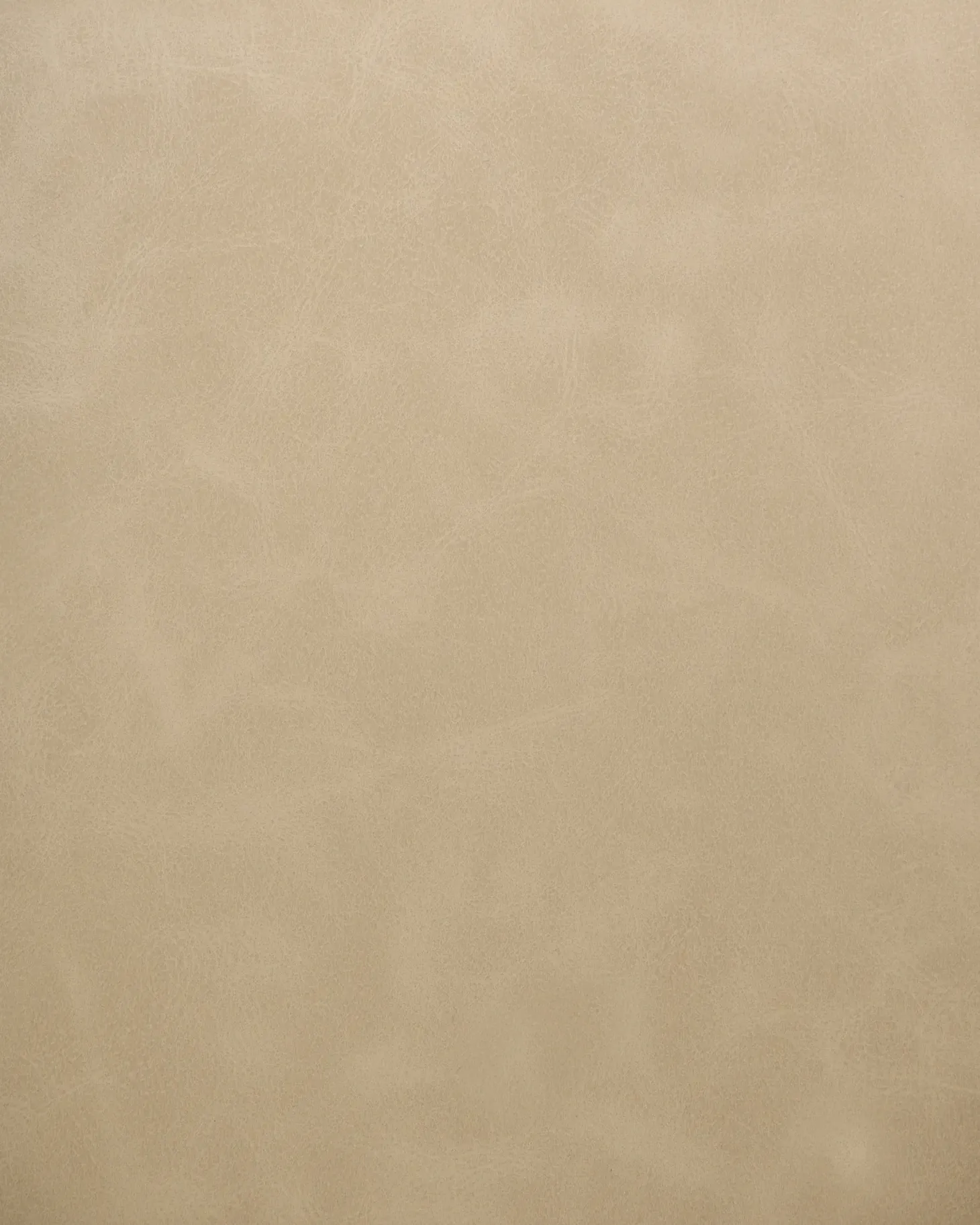 Sæt med 2 spisebordsstole SANSARC Kunstlæder Beige