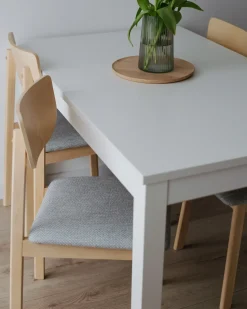 Sæt med 2 spisebordsstole SCANDIA Træ Lysegrå
