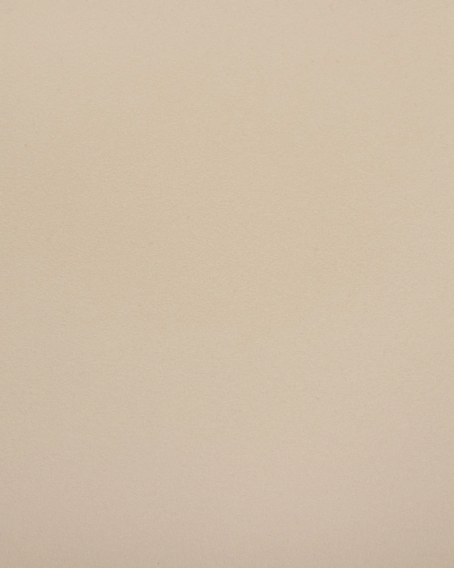 Sæt med 2 spisebordsstole SOMERS Beige