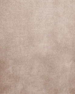 Sæt med 2 spisebordsstole TERLTON Velour Beige