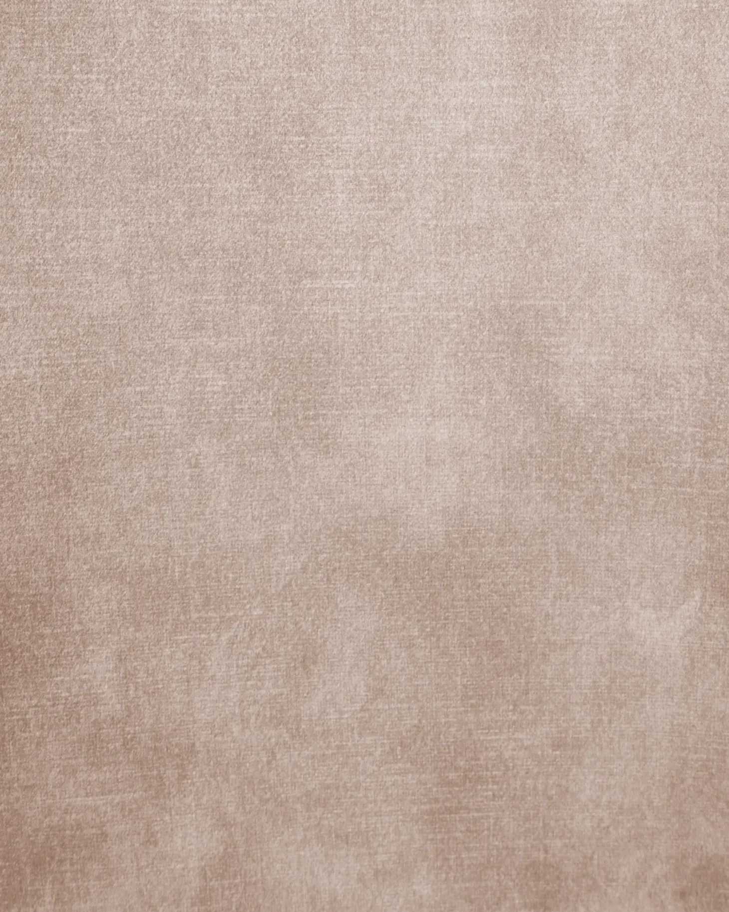 Sæt med 2 spisebordsstole TERLTON Velour Beige