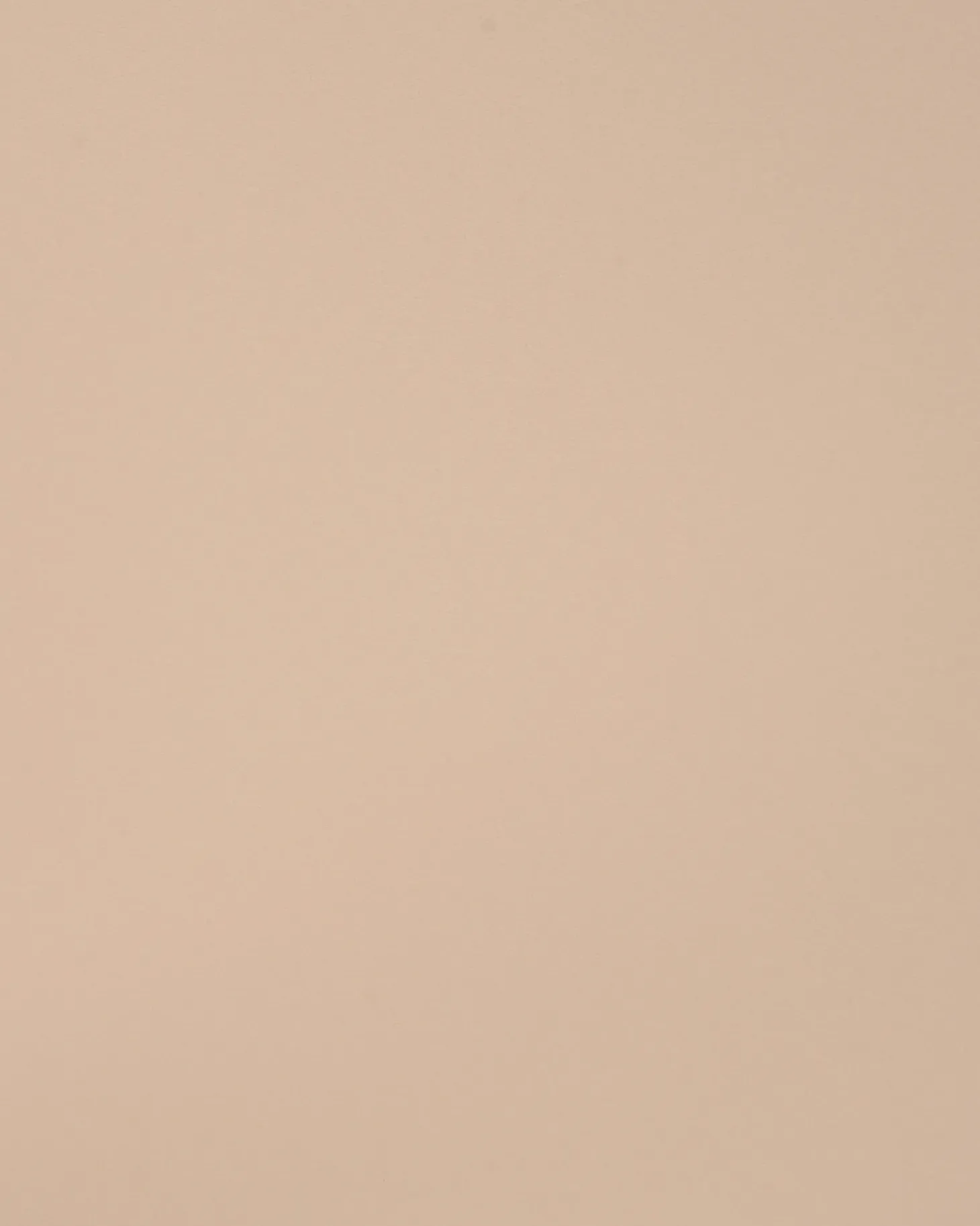 Sæt med 2 spisebordsstole WALDEN Lys Beige