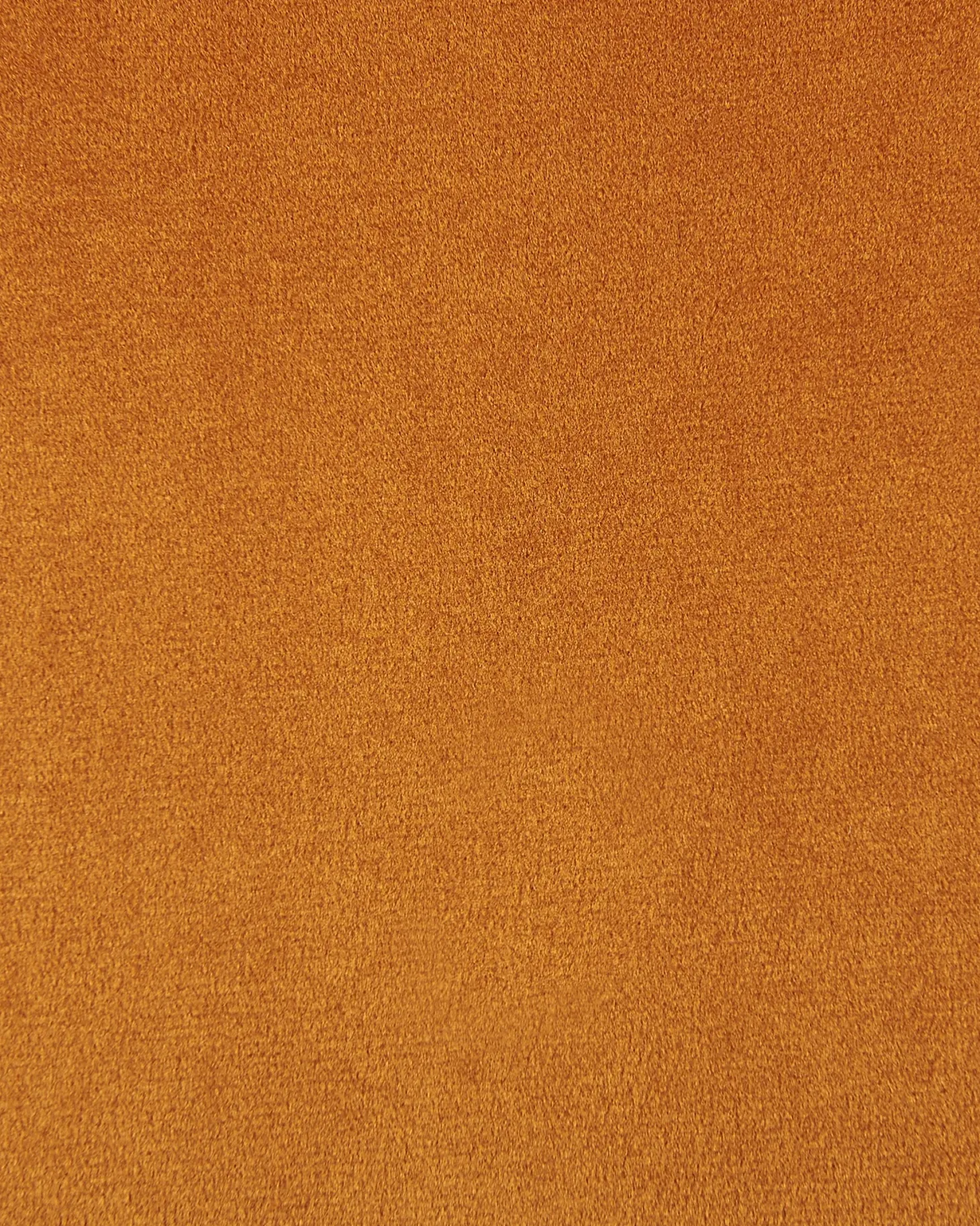 Sæt med 2 spisebordsstole WELLSTON Velour Orange