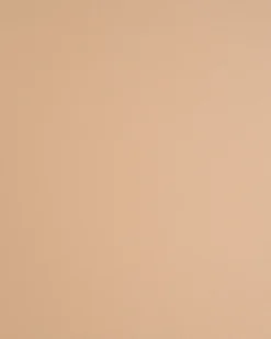Sæt med 2 spisebordsstole WINDUST Metal Beige
