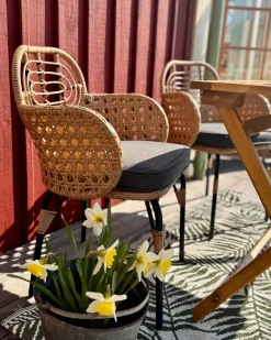 Sæt med 4 stole med puder PRATELLO PE-rattan Naturlig