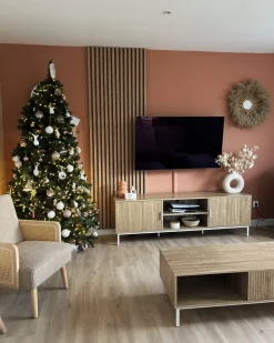 TV-bord ROYALLA Lysebrun
