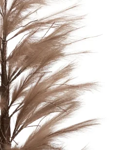 Udendørs dekoration LED HAUGANES Juletræ 190 cm Beige