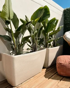 Urtepotte BARIS 74 cm Lys Beige