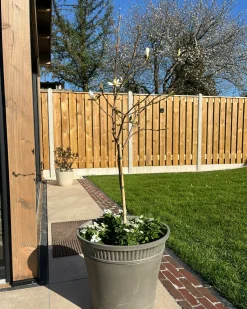 Urtepotte CISTUS 44 cm Grå