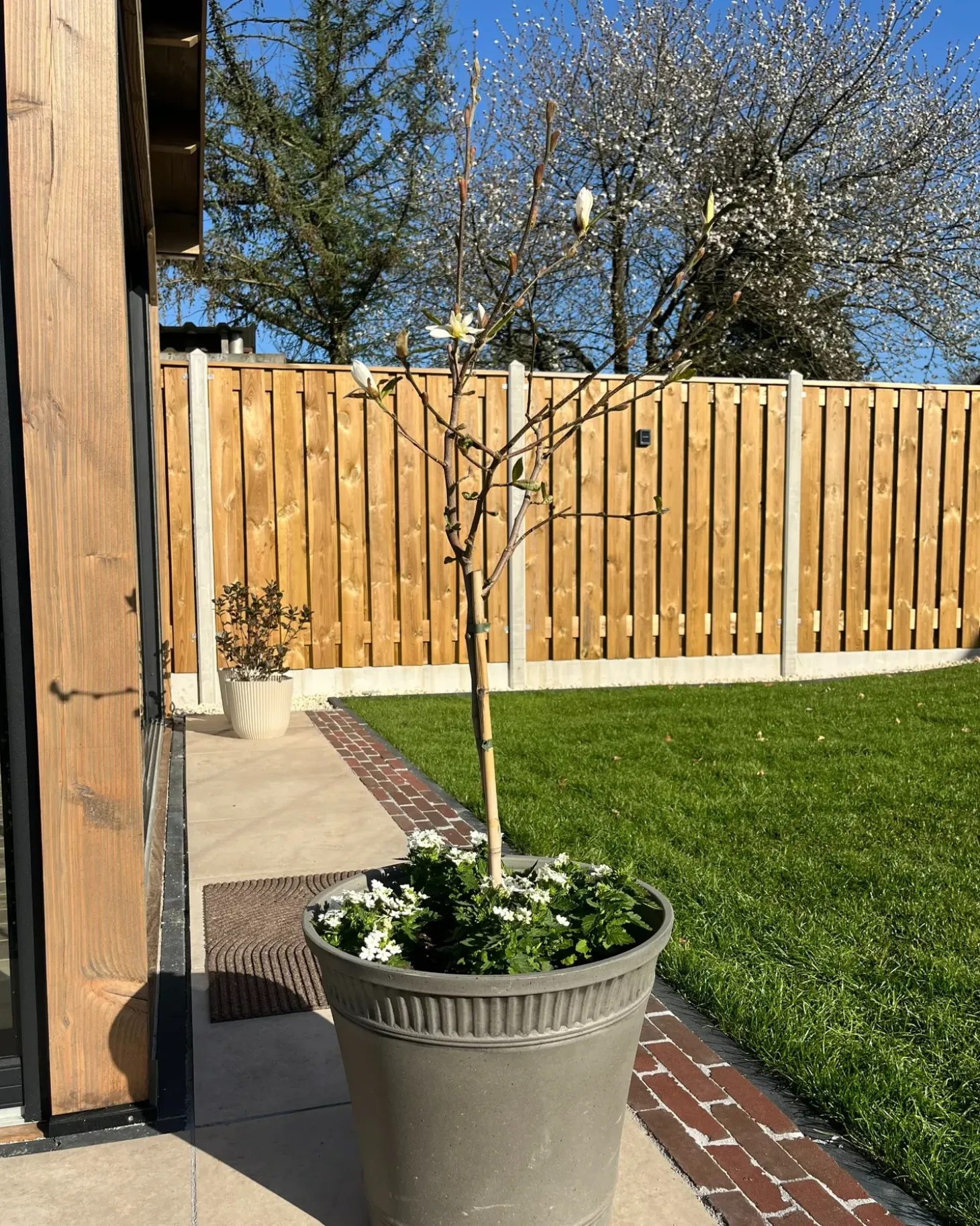 Urtepotte CISTUS 44 cm Grå