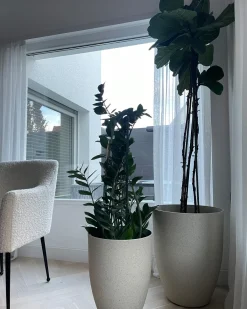 Urtepotte CROTON 43 cm Cremehvid