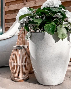 Urtepotte CROTON 43 cm Cremehvid