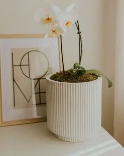Urtepotte DARIA 24 cm Cremehvid