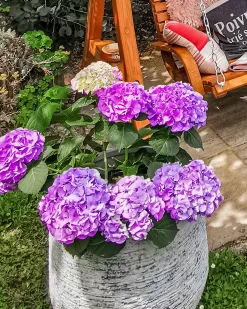 Urtepotte DIONI 48 cm Lysegrå