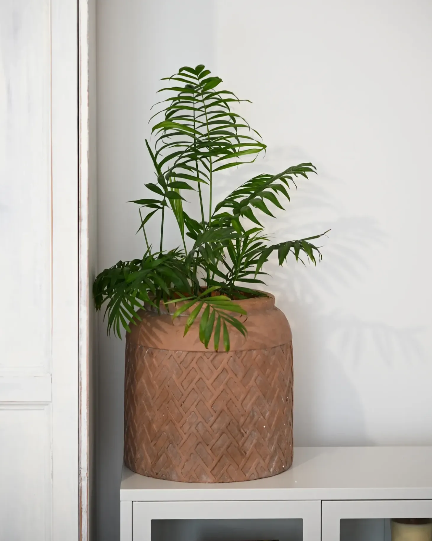 Urtepotte GERAKAS 35 cm Beige
