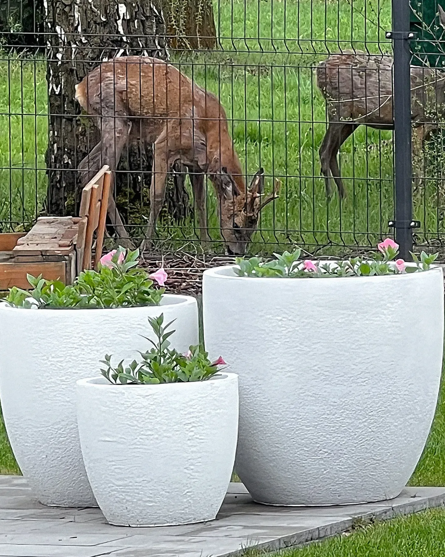 Urtepotte KANNIA 55 cm Hvid