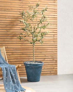 Urtepotte MAIZE 43 cm Blå