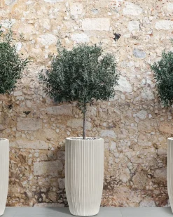 Urtepotte ZELKOVA 35 cm Lys Beige