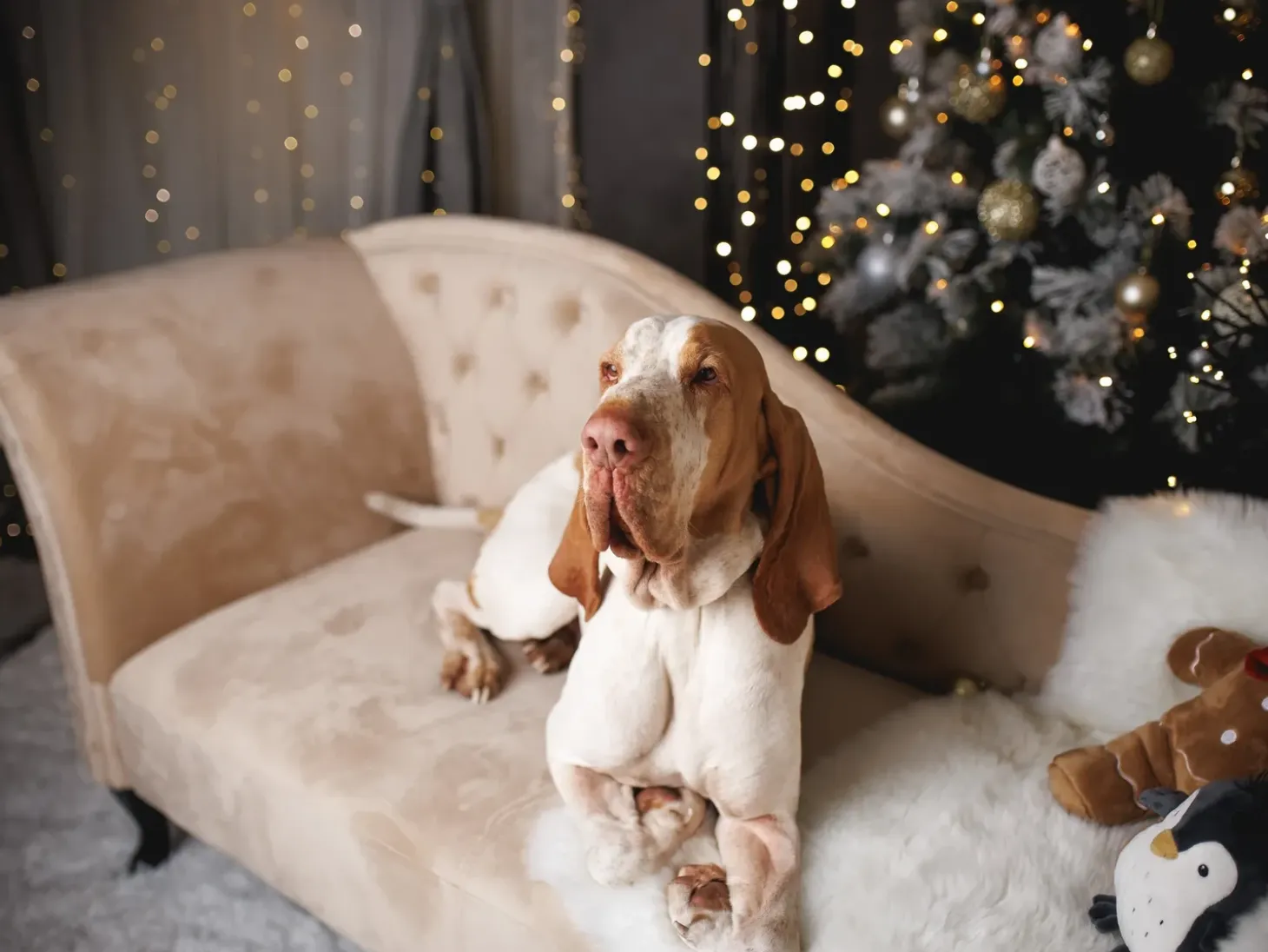 Venstrevendt chaiselong LATTES Velour Beige