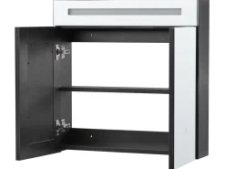 Vægmonteret spejlskab til badeværelset LED JARAMILLO 60 cm 60 cm Sort