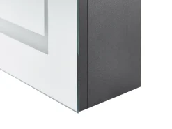 Vægmonteret spejlskab til badeværelset LED MALASPINA 40 cm 60 cm Sort