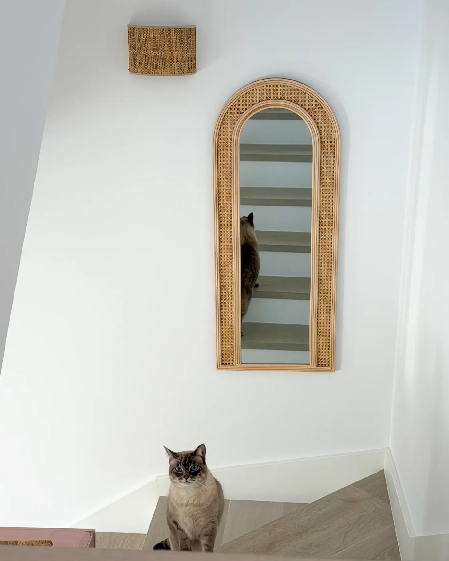 Vægspejl FRANEY 50 cm 120 cm Rattan Naturlig